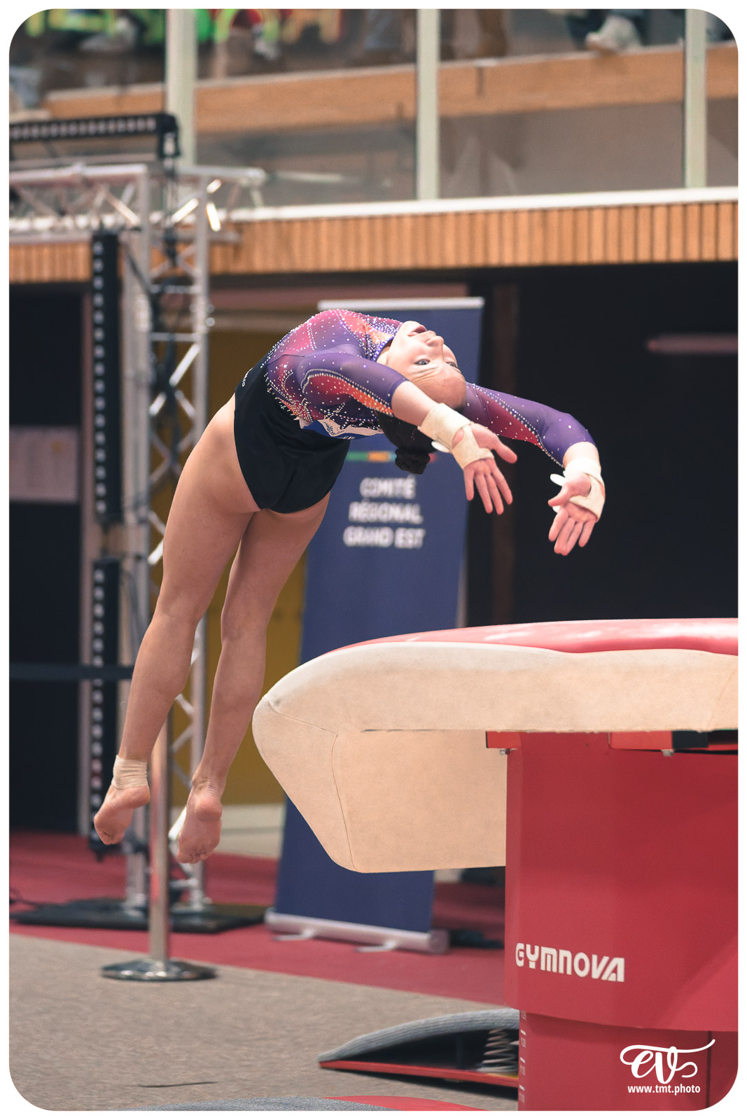 TOP 12 HAGUENAU VS HENIN